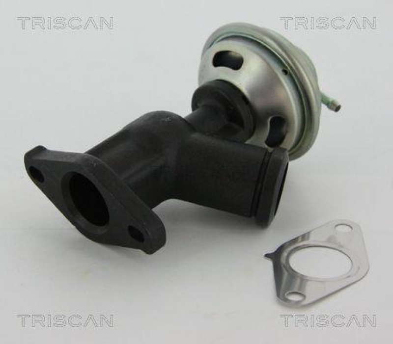 TRISCAN 8813 10011 Agr Ventil f&uuml;r Psa/Fiat/Gm