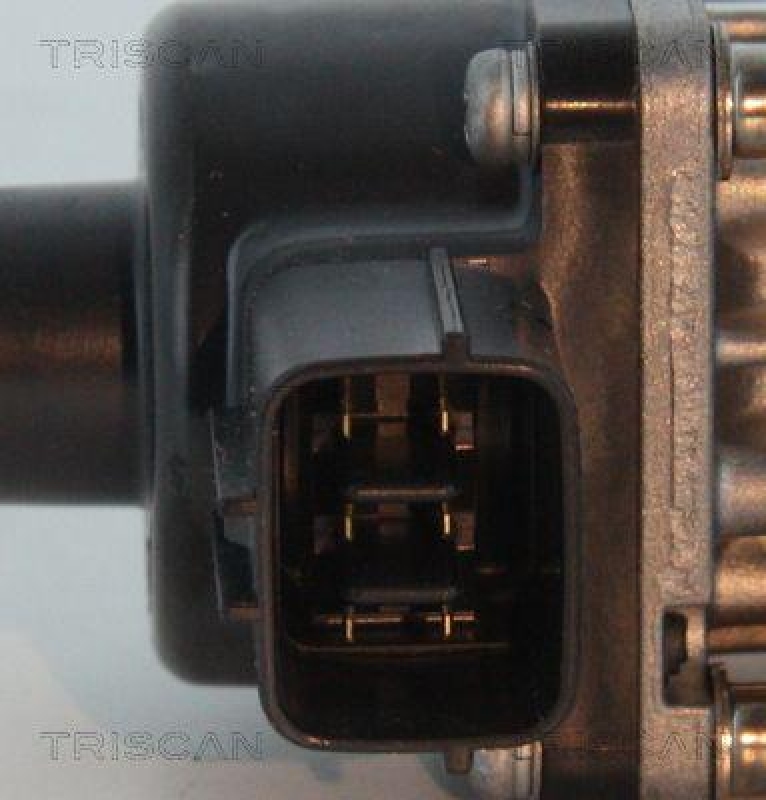 TRISCAN 8813 10013 Agr Ventil f&uuml;r Suzuki/Fiat