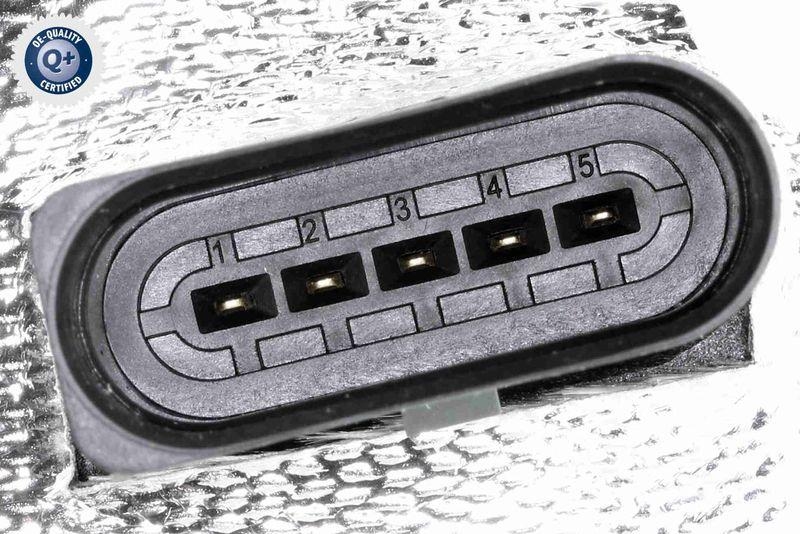 VEMO V10-63-0135 K&uuml;hler, Abgasr&uuml;ckf&uuml;hrung f&uuml;r VW