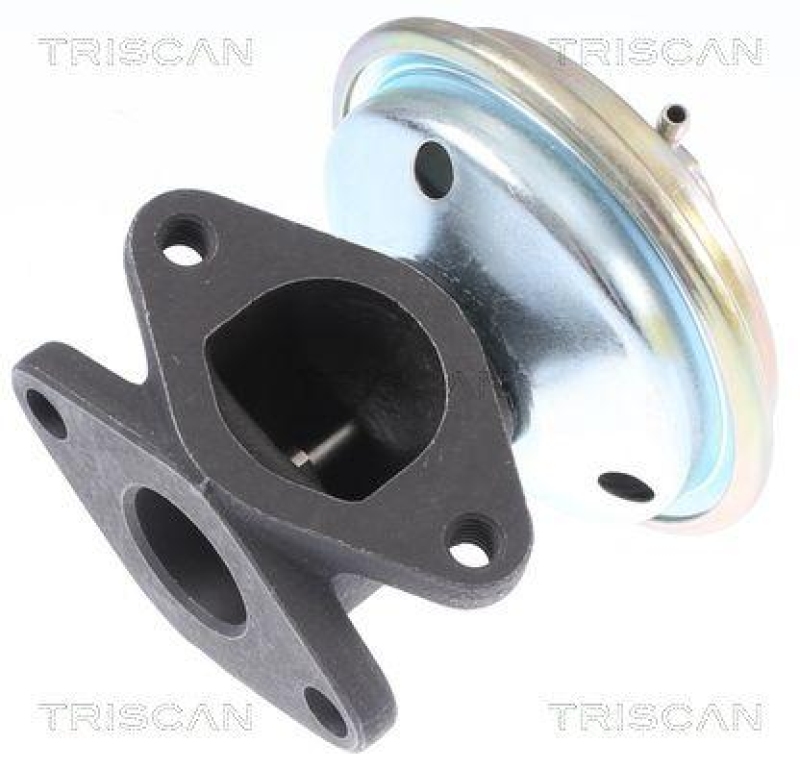 TRISCAN 8813 10033 Agr Ventil f&uuml;r Chrysler Voyager