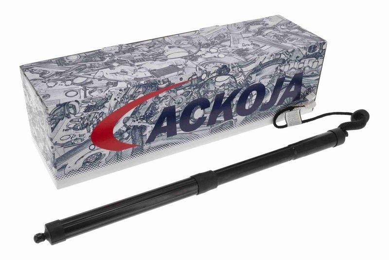 ACKOJA A26-55-0001 Elektromotor, Heckklappe für HONDA