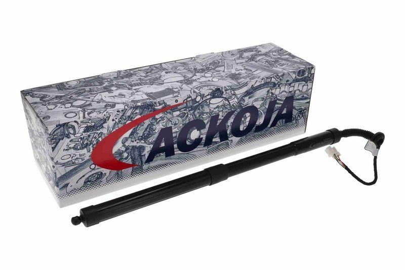 ACKOJA A26-55-0003 Elektromotor, Heckklappe für HONDA