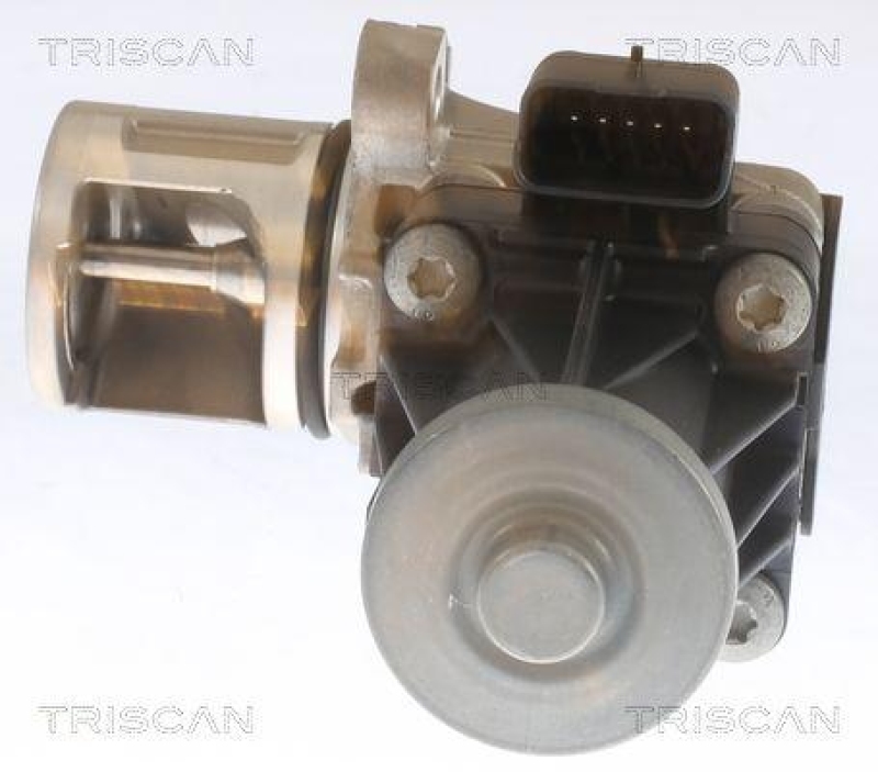TRISCAN 8813 10053 Agr Ventil f&uuml;r Psa, Ford, Volvo