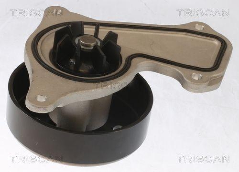 TRISCAN 8600 25095 Wasserpumpe f&uuml;r Nissan, Renault