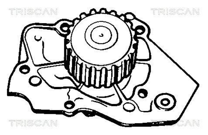 TRISCAN 8600 10409 Wasserpumpe f&uuml;r Citroen Bx, Peugeot 405