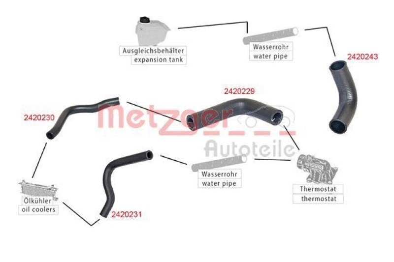 METZGER 2420230 K&uuml;hlerschlauch f&uuml;r CITROEN/FIAT/PEUGEOT