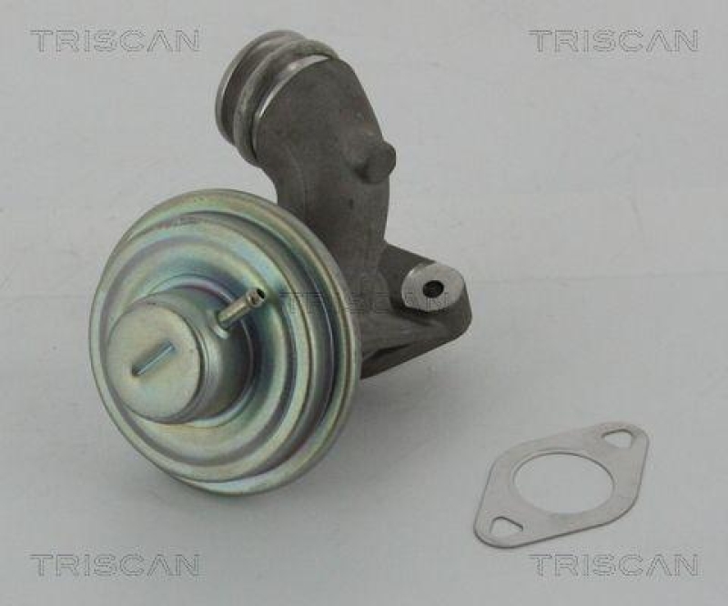 TRISCAN 8813 10102 Agr Ventil f&uuml;r Psa/Ford