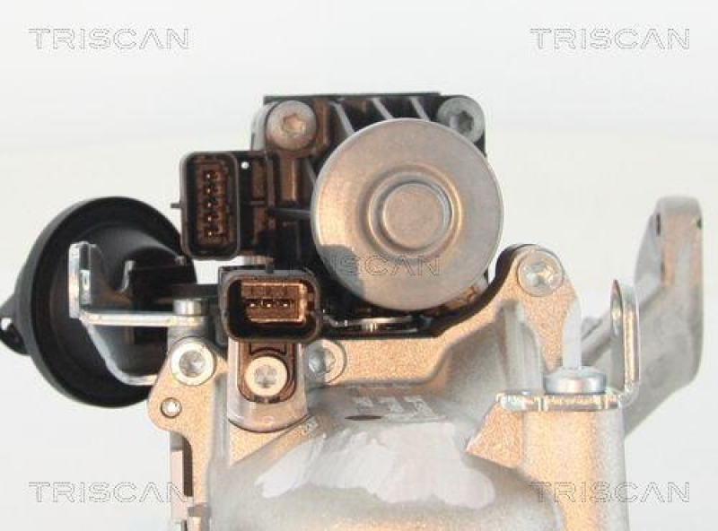 TRISCAN 8813 10103 Agr Ventil f&uuml;r Volvo/Ford/Psa