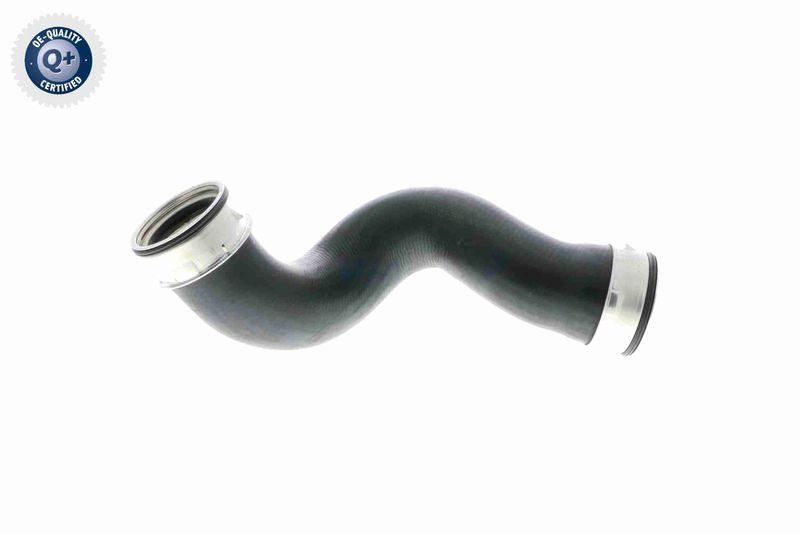 VAICO V10-2902 Ladeluftschlauch f&uuml;r VW