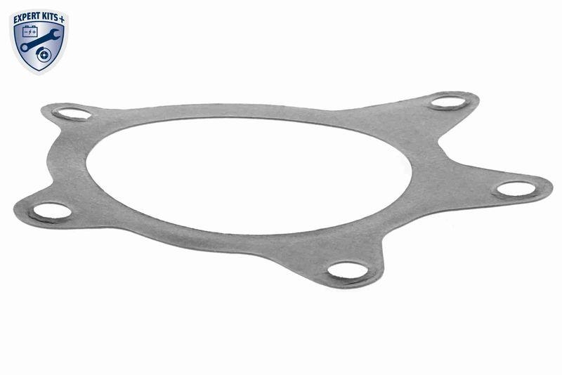 ACKOJA A70-50017 Wasserpumpe, Motorkühlung mit Dichtung für TOYOTA