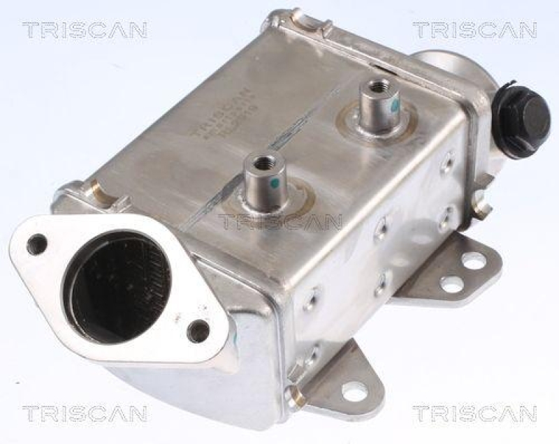 TRISCAN 8813 10113 K&uuml;hler, Abgasr&uuml;ckf&uuml;hrung f&uuml;r Alfa, Fiat, Opel