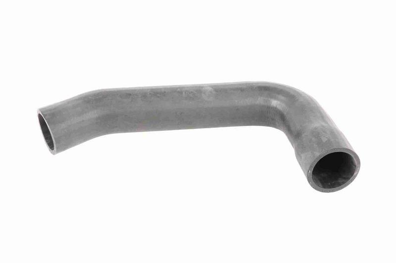 VAICO V24-0696 Ladeluftschlauch Groß für FIAT