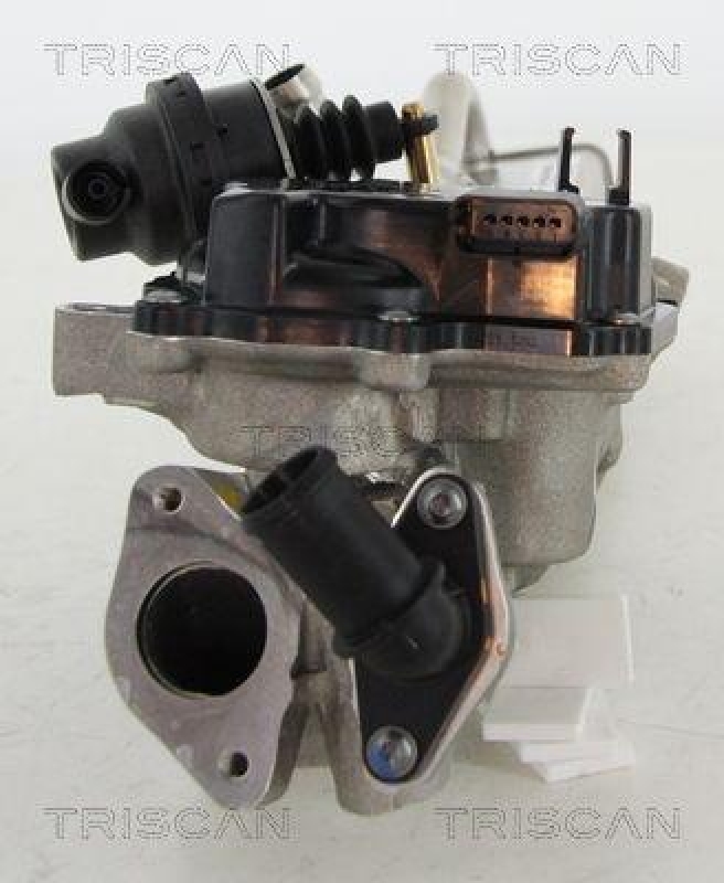 TRISCAN 8813 10203 Agr Ventil f&uuml;r Ford Volvo