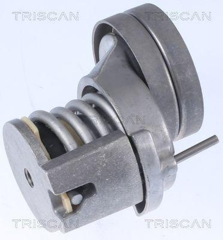TRISCAN 8641 293018 Riemenspanneinheit für Vag