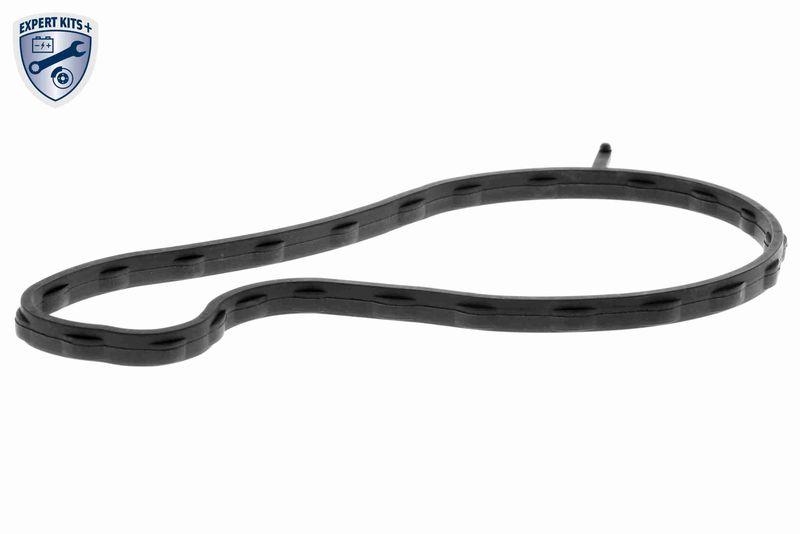 ACKOJA A70-50027 Wasserpumpe, Motorkühlung mit Dichtung für TOYOTA