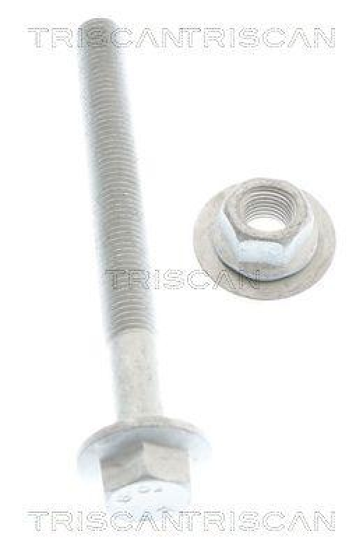 TRISCAN 8500 29407 Bolzensatz für Boltsæt