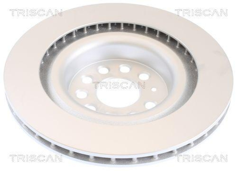 TRISCAN 8120 81007c Bremsscheibe Hinten, Coated f&uuml;r Tesla