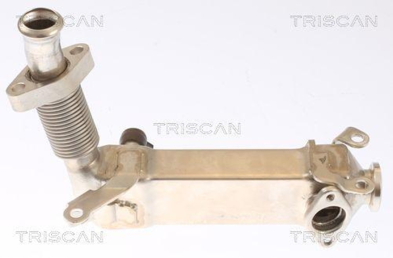 TRISCAN 8813 11019 K&uuml;hler, Abgasr&uuml;ckf&uuml;hrung f&uuml;r Bmw