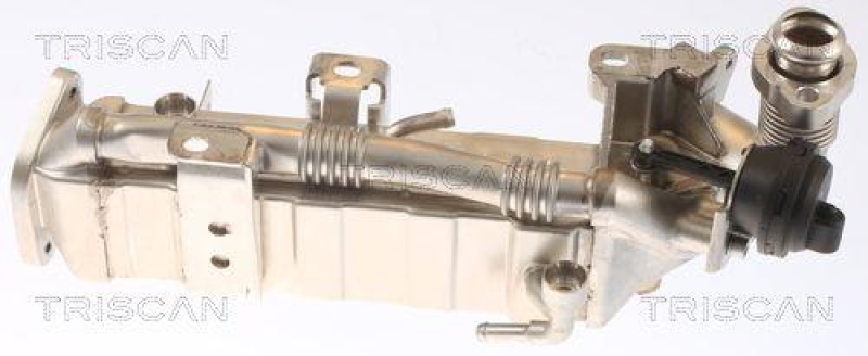 TRISCAN 8813 11021 f&uuml;r Bmw