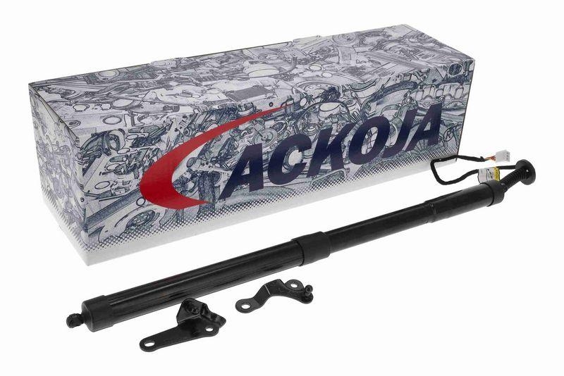 ACKOJA A70-55-0001 Elektromotor, Heckklappe für LExUS