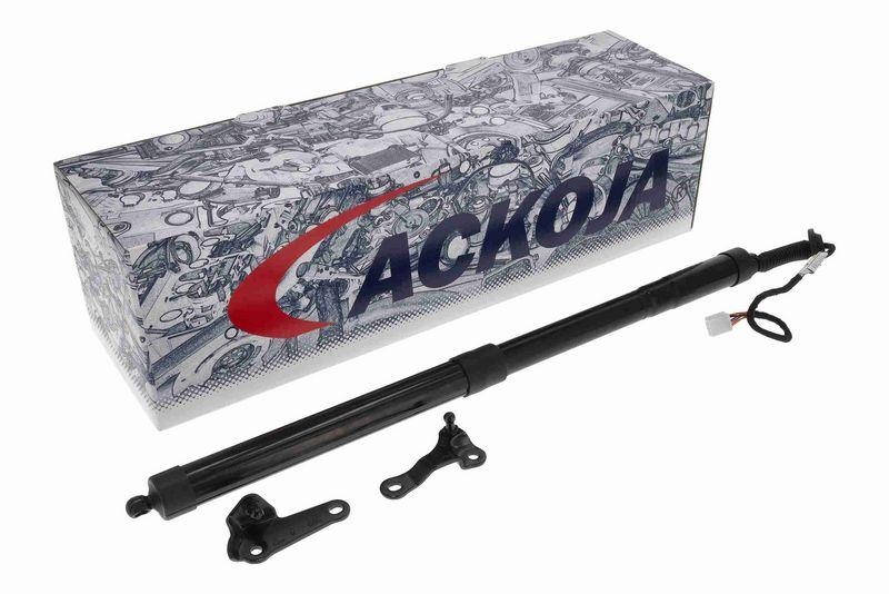 ACKOJA A70-55-0002 Elektromotor, Heckklappe für LExUS