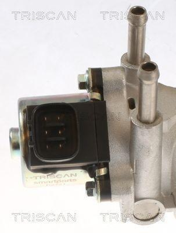 TRISCAN 8813 13015 Agr Ventil f&uuml;r Toyota