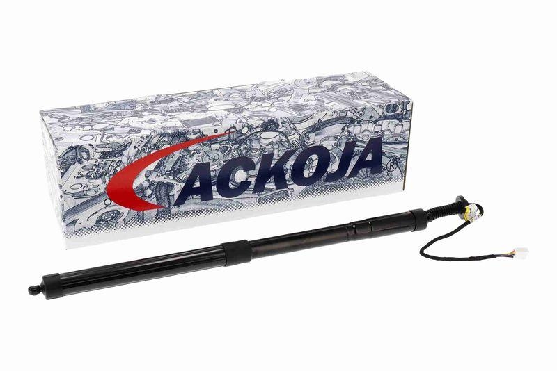 ACKOJA A70-55-0003 Elektromotor, Heckklappe für LExUS