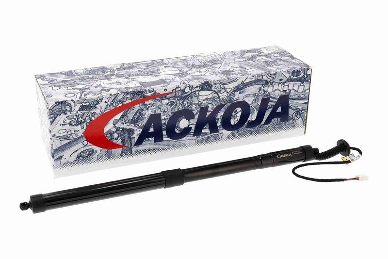 ACKOJA A70-55-0004 Elektromotor, Heckklappe für LExUS