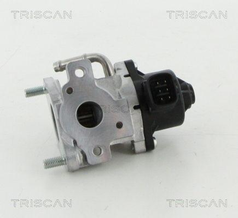 TRISCAN 8813 13057 Agr Ventil f&uuml;r Toyota
