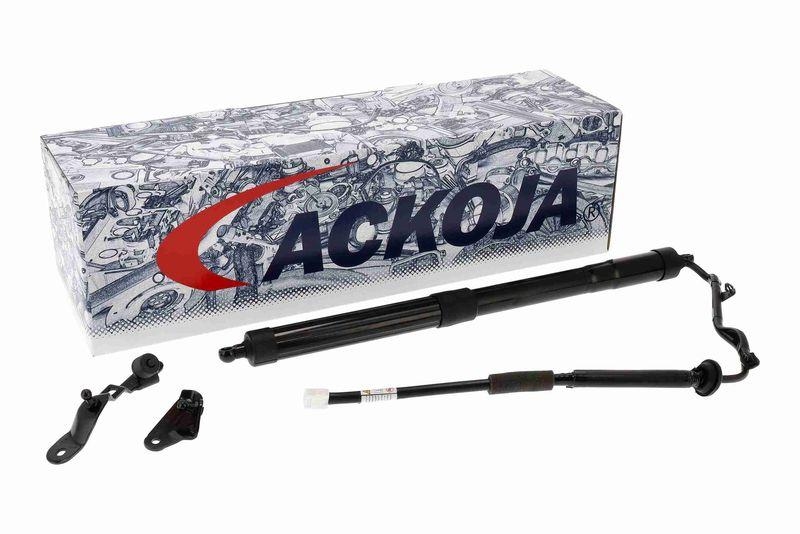 ACKOJA A70-55-0009 Elektromotor, Heckklappe für TOYOTA