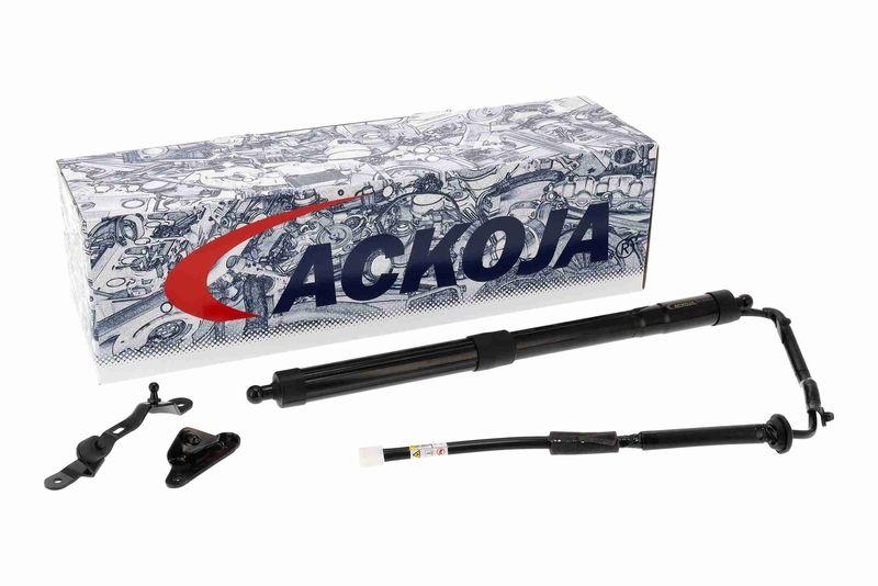 ACKOJA A70-55-0010 Elektromotor, Heckklappe für TOYOTA