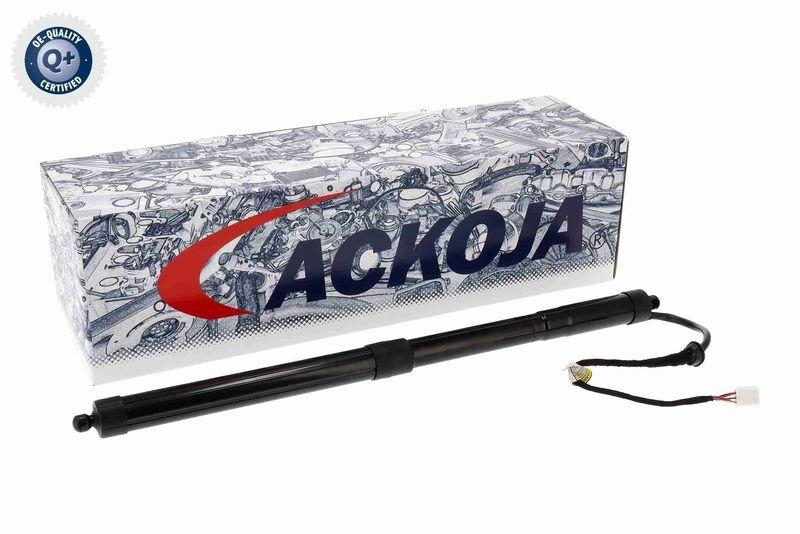 ACKOJA A70-55-0011 Elektromotor, Heckklappe für TOYOTA