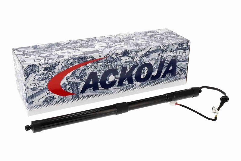 ACKOJA A70-55-0014 Elektromotor, Heckklappe hinten links für TOYOTA