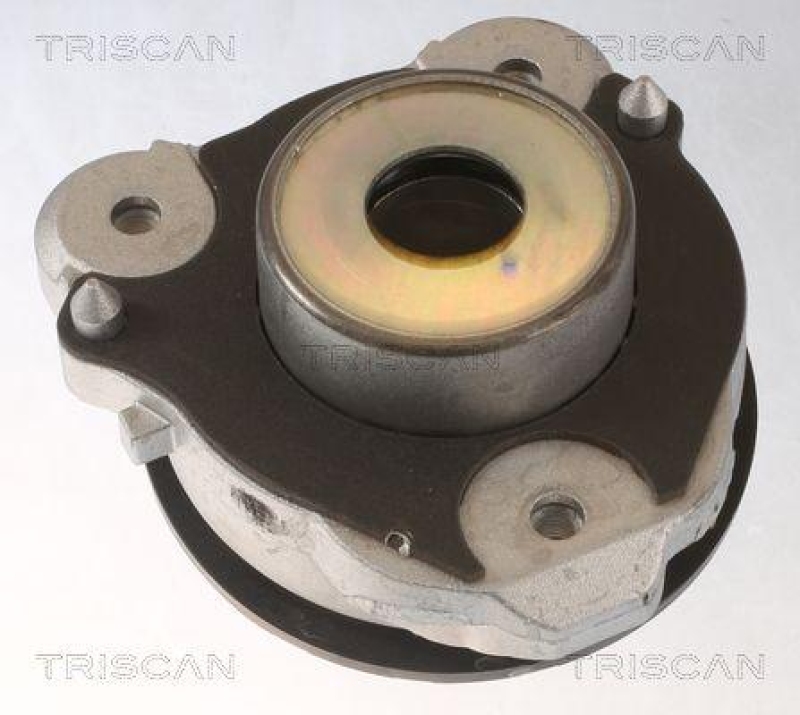 TRISCAN 8500 15919 Federbeinlagersatz f&uuml;r Fiat Ducato