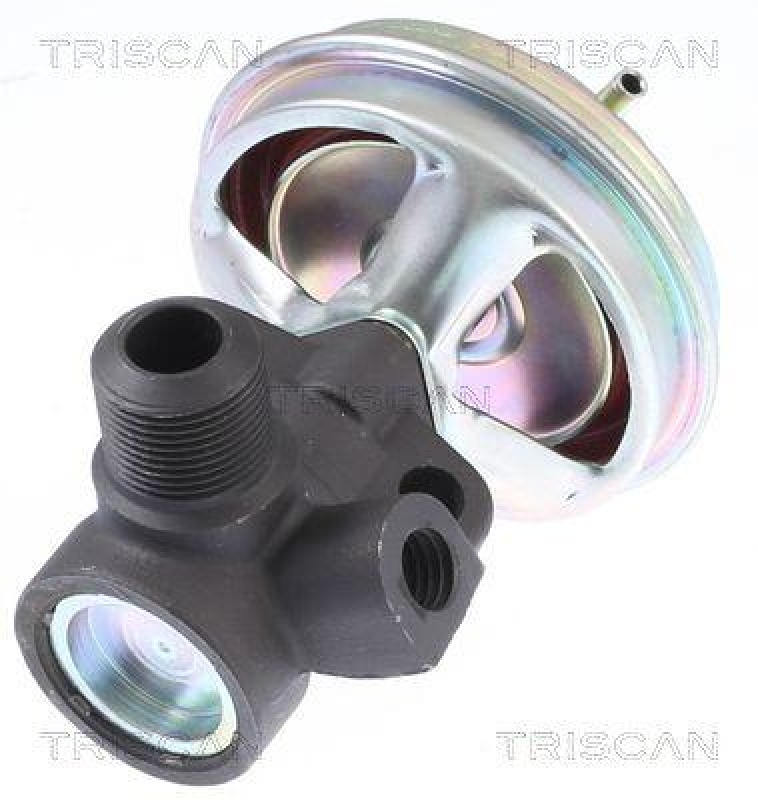 TRISCAN 8813 14008 Agr Ventil f&uuml;r Nissan