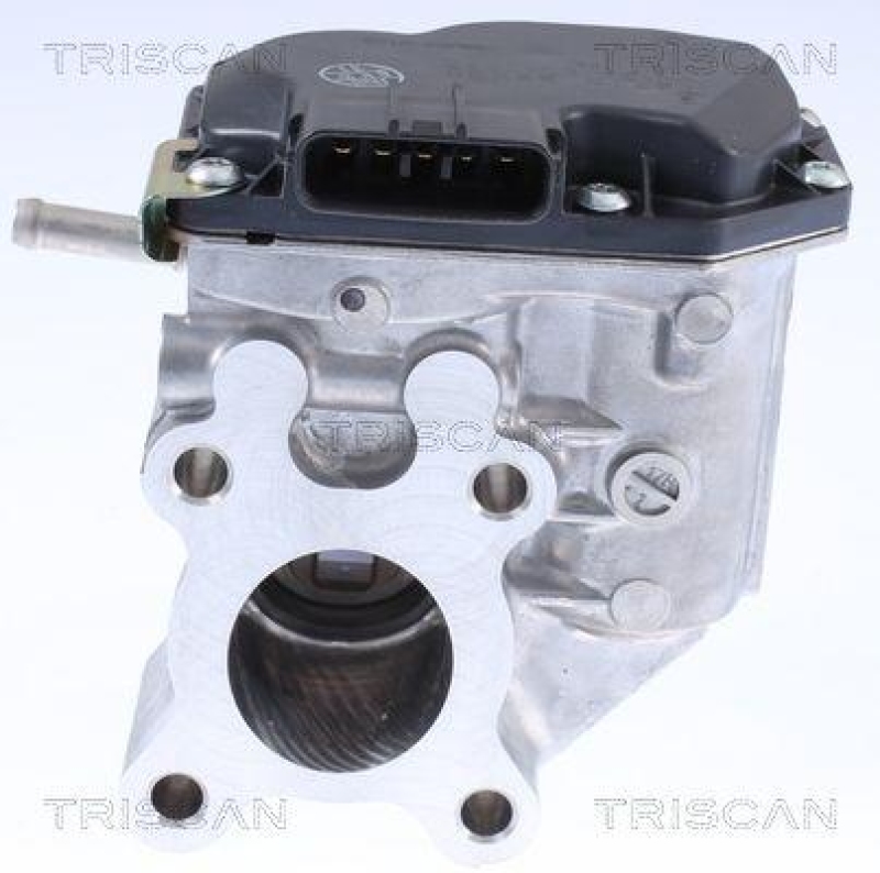 TRISCAN 8813 14015 Agr Ventil f&uuml;r Nissan