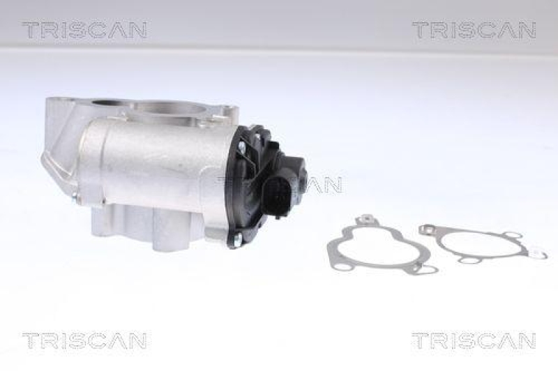 TRISCAN 8813 14025 Agr Ventil f&uuml;r Nissan
