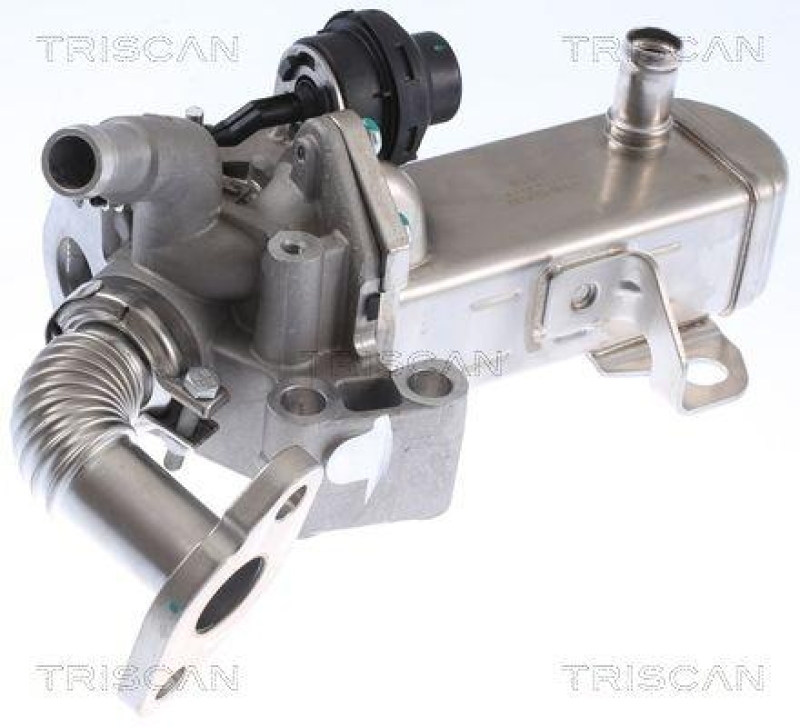 TRISCAN 8813 14031 K&uuml;hler, Abgasr&uuml;ckf&uuml;hrung f&uuml;r Nissan