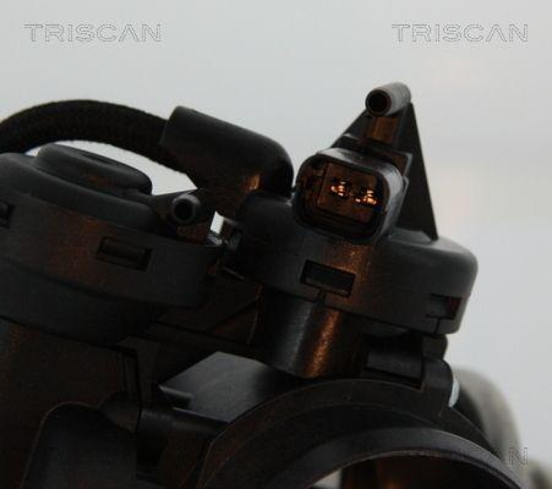 TRISCAN 8813 15056 Agr Ventil f&uuml;r Fiat/Psa