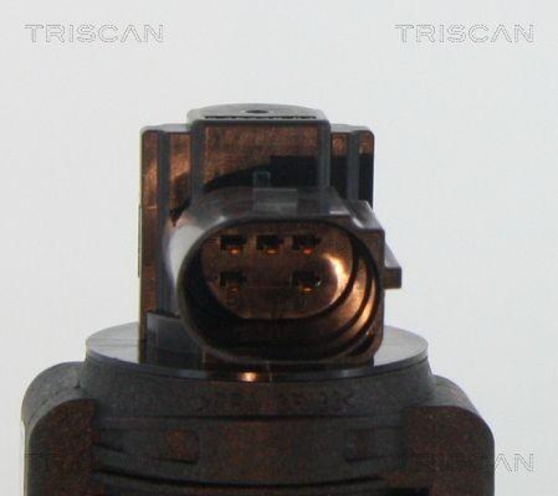 TRISCAN 8813 15063 Agr Ventil f&uuml;r Fiat/Psa