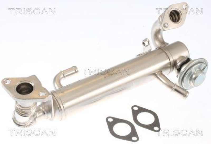 TRISCAN 8813 15074 Agr Ventil f&uuml;r Fiat, Iveco