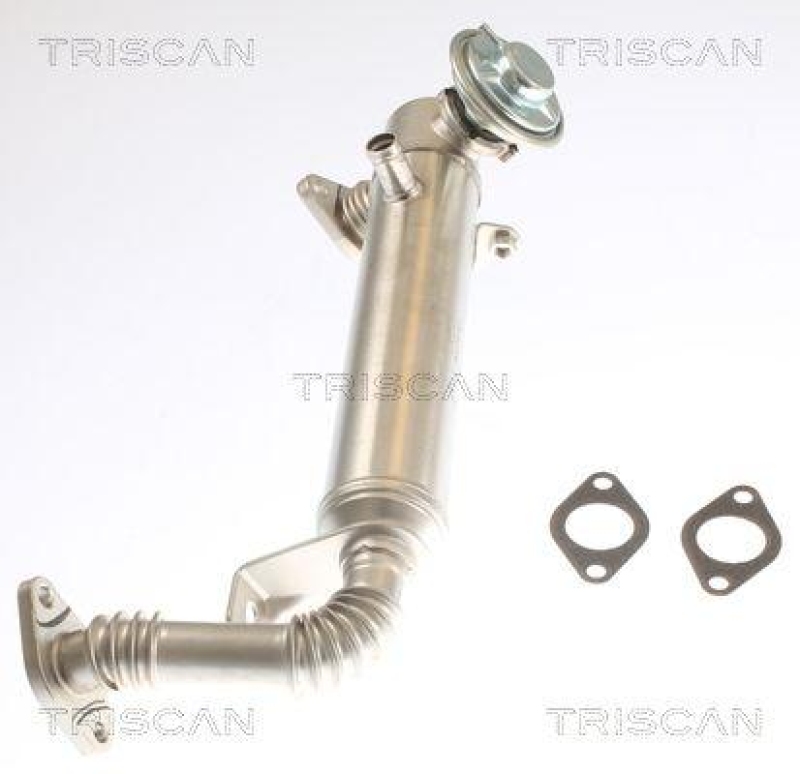 TRISCAN 8813 15075 f&uuml;r Fiat Ducato