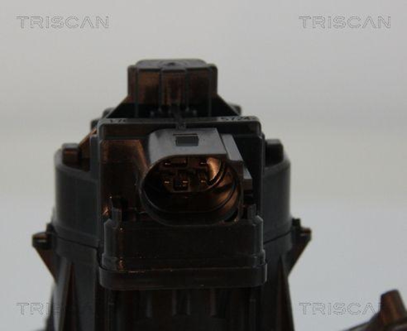 TRISCAN 8813 15207 Agr Ventil f&uuml;r Fiat