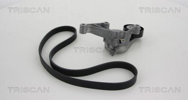 TRISCAN 8642 29001 Keilrippenriemensatz f&uuml;r Audi, Seat, Skoda, Vw