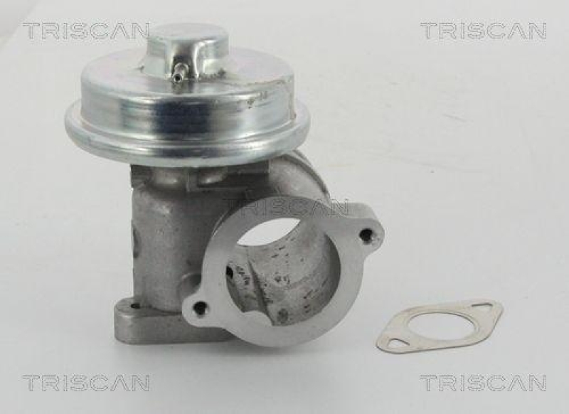 TRISCAN 8813 16010 Agr Ventil f&uuml;r Ford/Volvo/Mazda