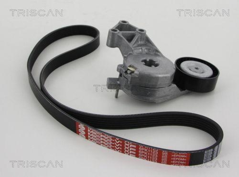 TRISCAN 8642 29003 Keilrippenriemensatz f&uuml;r Audi, Seat, Skoda, Vw