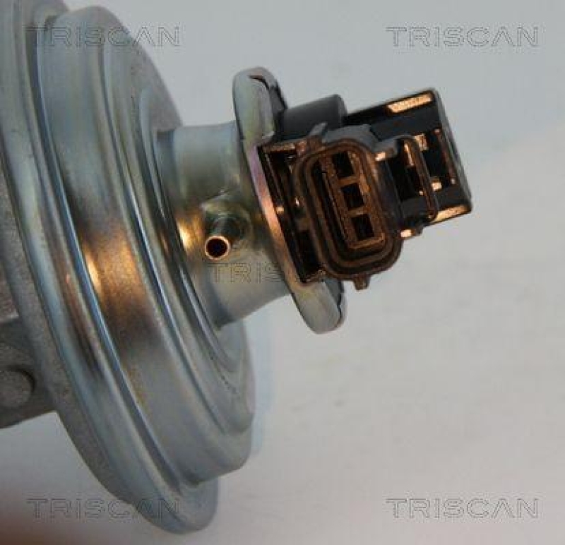 TRISCAN 8813 16045 Agr Ventil f&uuml;r Ford/Volvo/Mazda