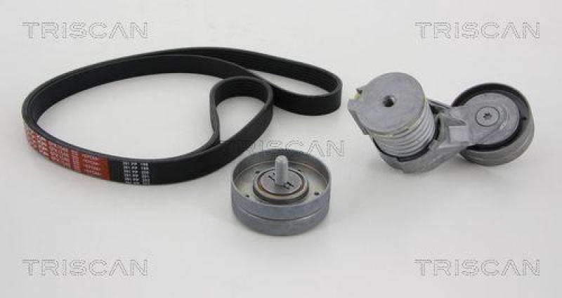 TRISCAN 8642 29009 Keilrippenriemensatz f&uuml;r Seat, Skoda, Vw