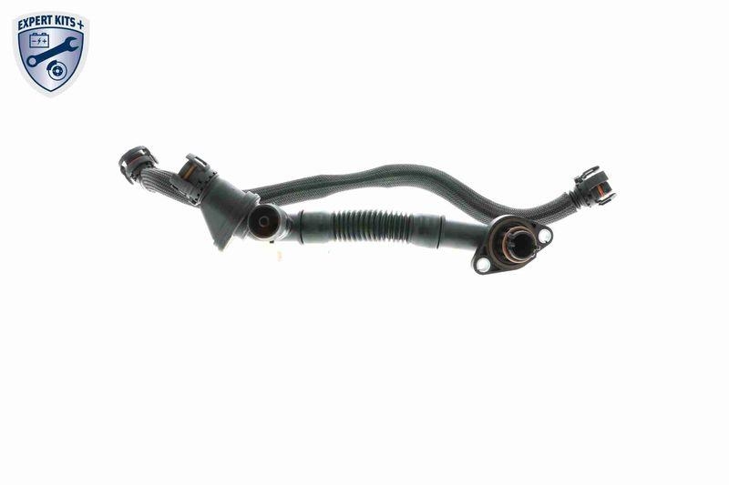 VAICO V20-3290 Reparatursatz, Kurbelgehäuseentlüftung Kurbelgehäuseentlüftung für BMW