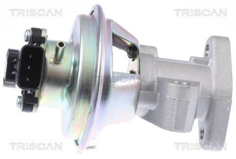 TRISCAN 8813 16069 Agr Ventil f&uuml;r Ford/Landrover